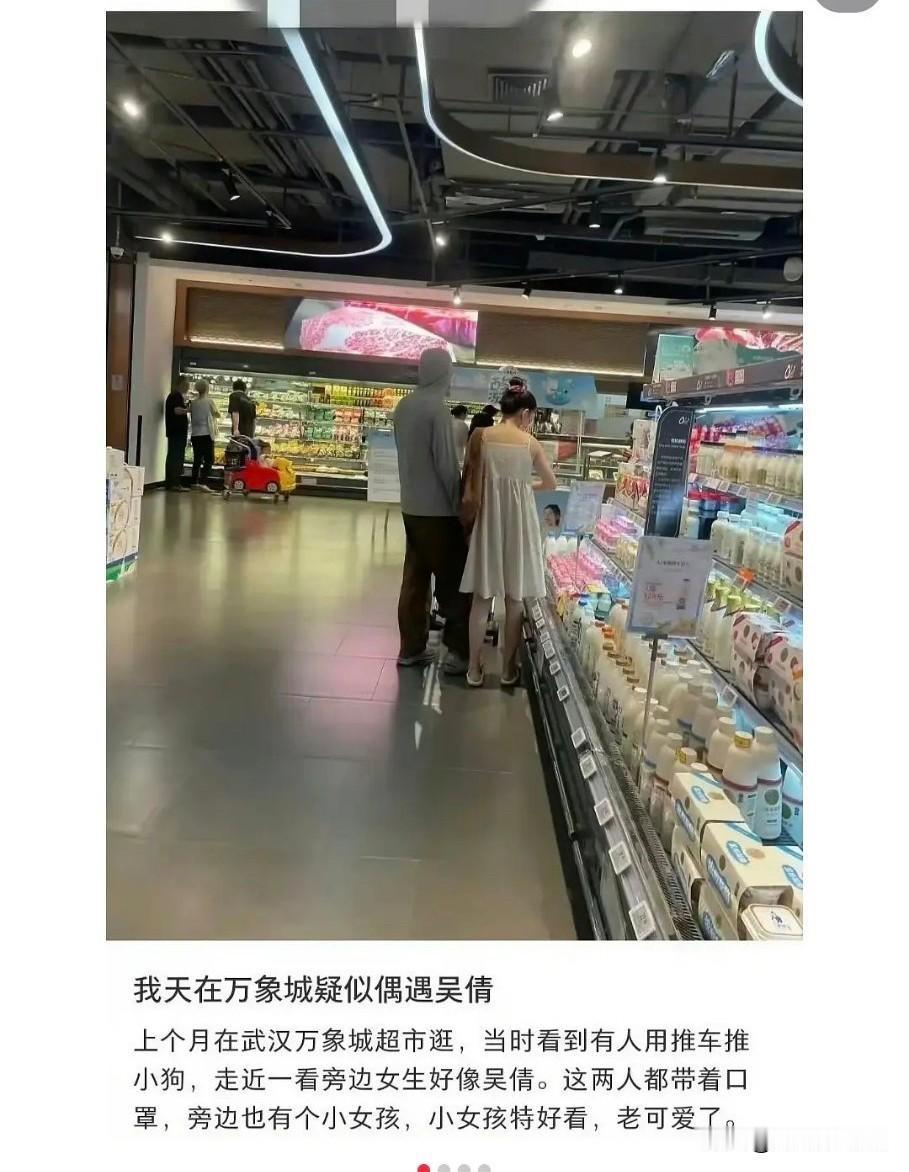 近来不少网友偶遇吴倩与男子一同带娃出行，随即传出二人疑似复合张雨剑的消息。当初吴