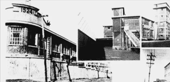 1962年山东第一卷烟厂成为青岛地区唯一的国营卷烟生产企业，改名山东青岛卷烟厂，
