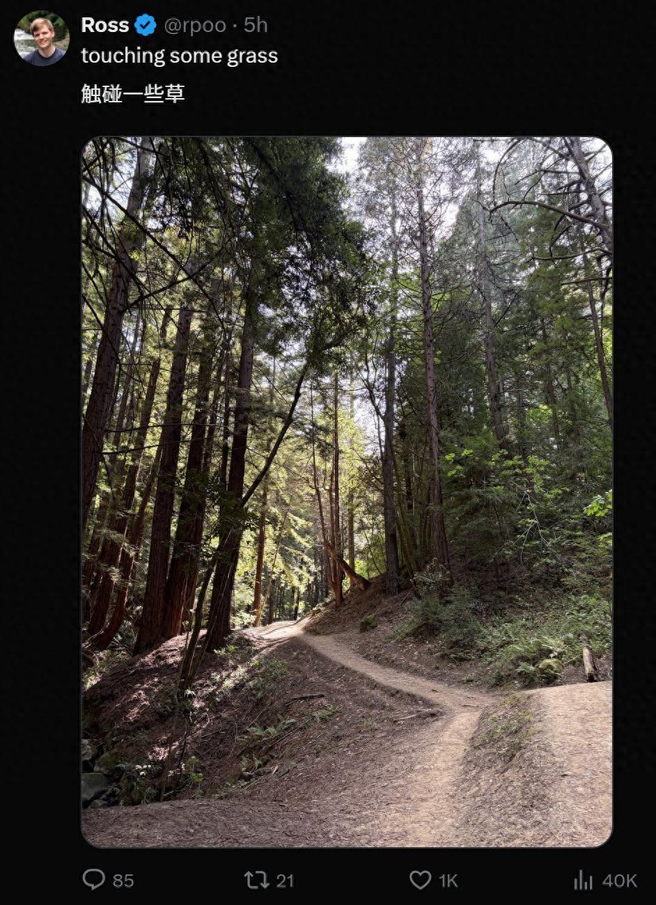 马斯克这次是真的成光杆司令了。3月28号，xAI的最后一位联合创始人Ross