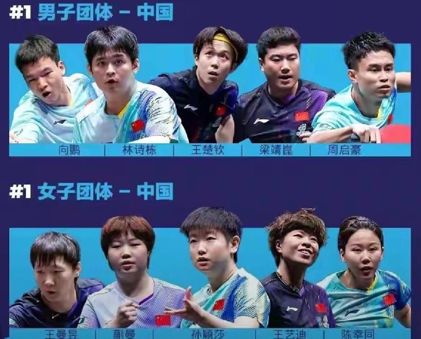 《除非退役，否则必须为国征战！》伦敦世乒在即。因樊振东退赛，使国乒遇