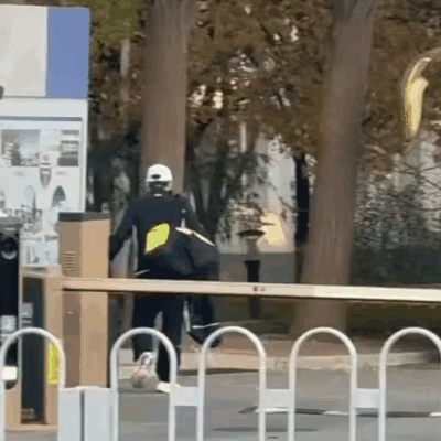 11月3日coco从河北返回北京啦！今天午饭后，coco从河北出发，下午返回北