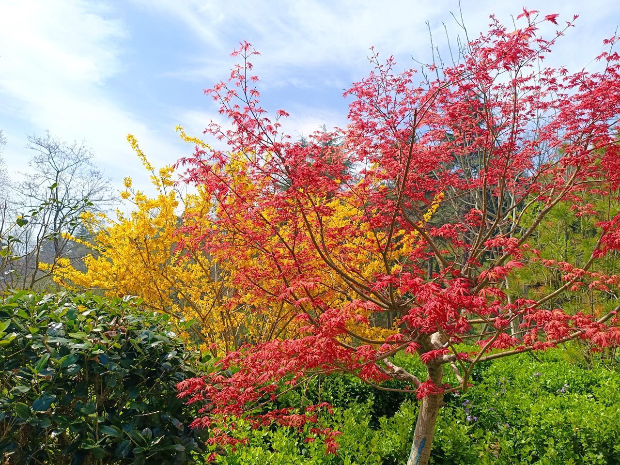 对于普通人退休后的生活是人生中又一段美好的时光，这个时候经过半生的沉淀，什么是