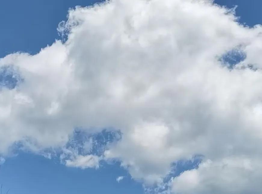 先生去外地出差，留下我一个人独守400多平的大别墅。孩子们一怕我孤独寂寞，二我