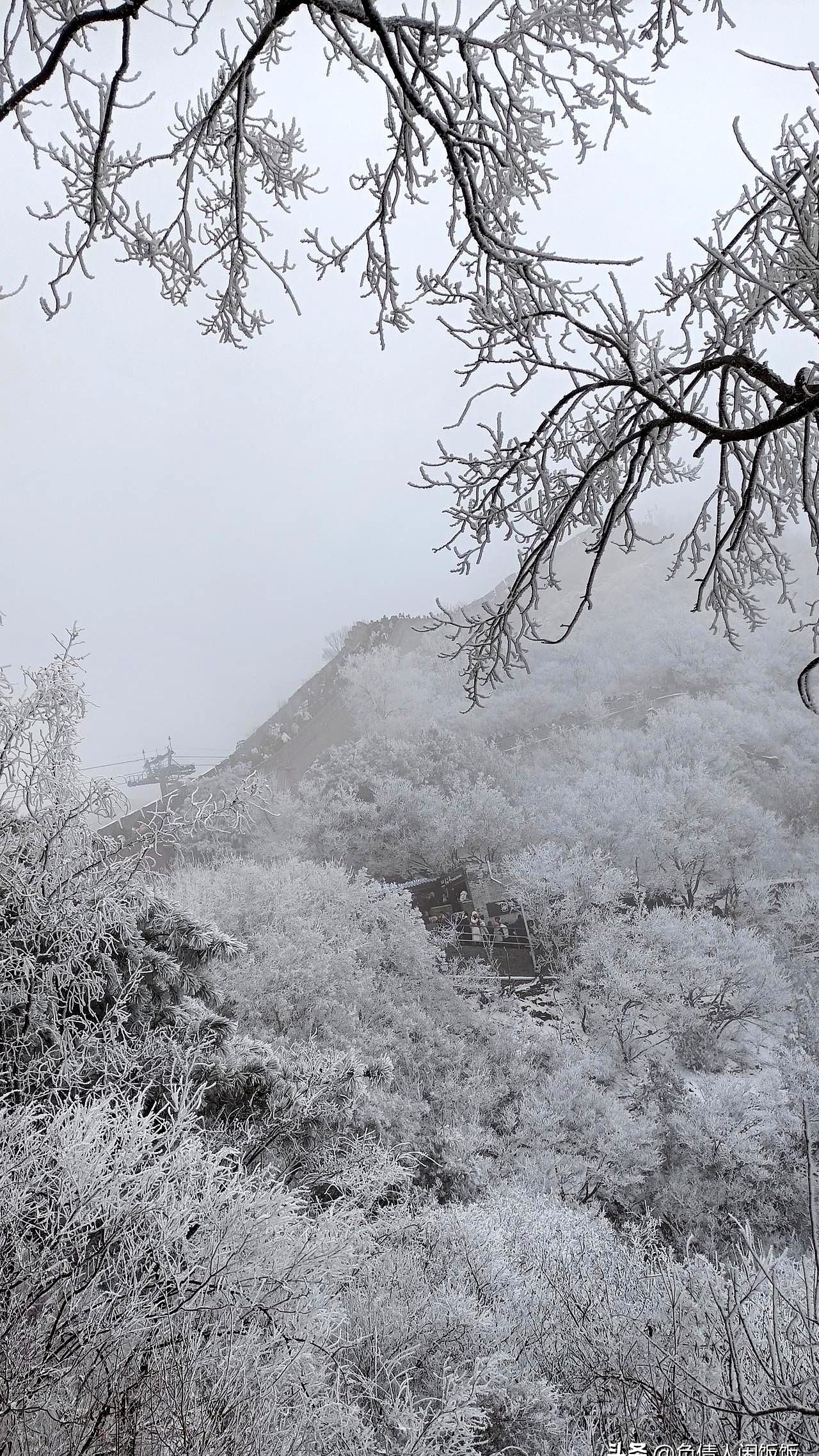现在这网贷真是越来越有意思了，高利贷们想的是怎么多收利息，我们这些欠债的，琢磨的