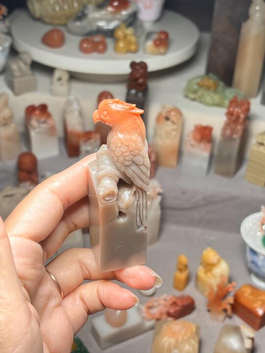 小鹦鹉谁看了不迷糊