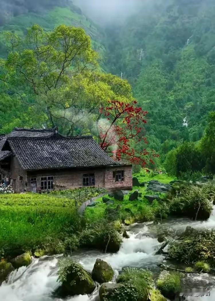养护肠胃的8个好习惯：1、每天晨起喝一杯温水。2、每餐搭配新鲜蔬菜。3