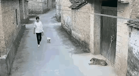 大姐牵着自家的宠物狗从一户人家门前走过，因担心闲人入内，这户人家把看门狗拴在大门