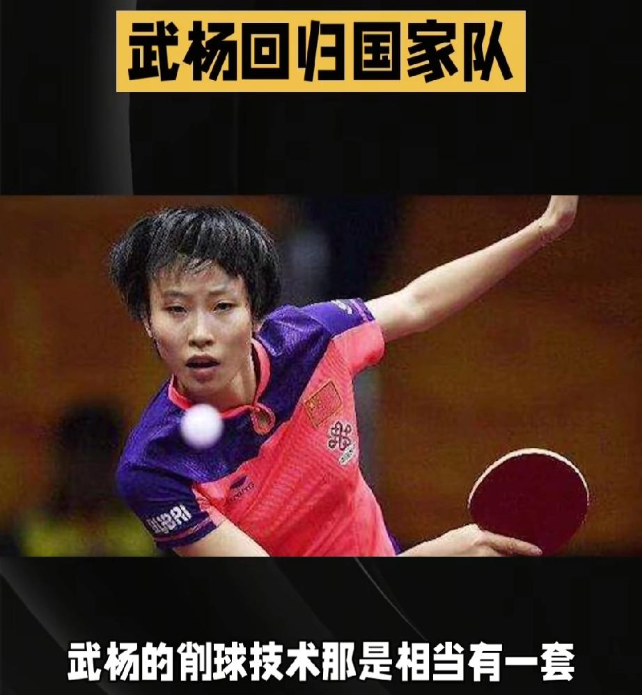 陈熠以后会打削球手了。看看谁来了。武扬，远国家队著名削球手，她的削球技术真是