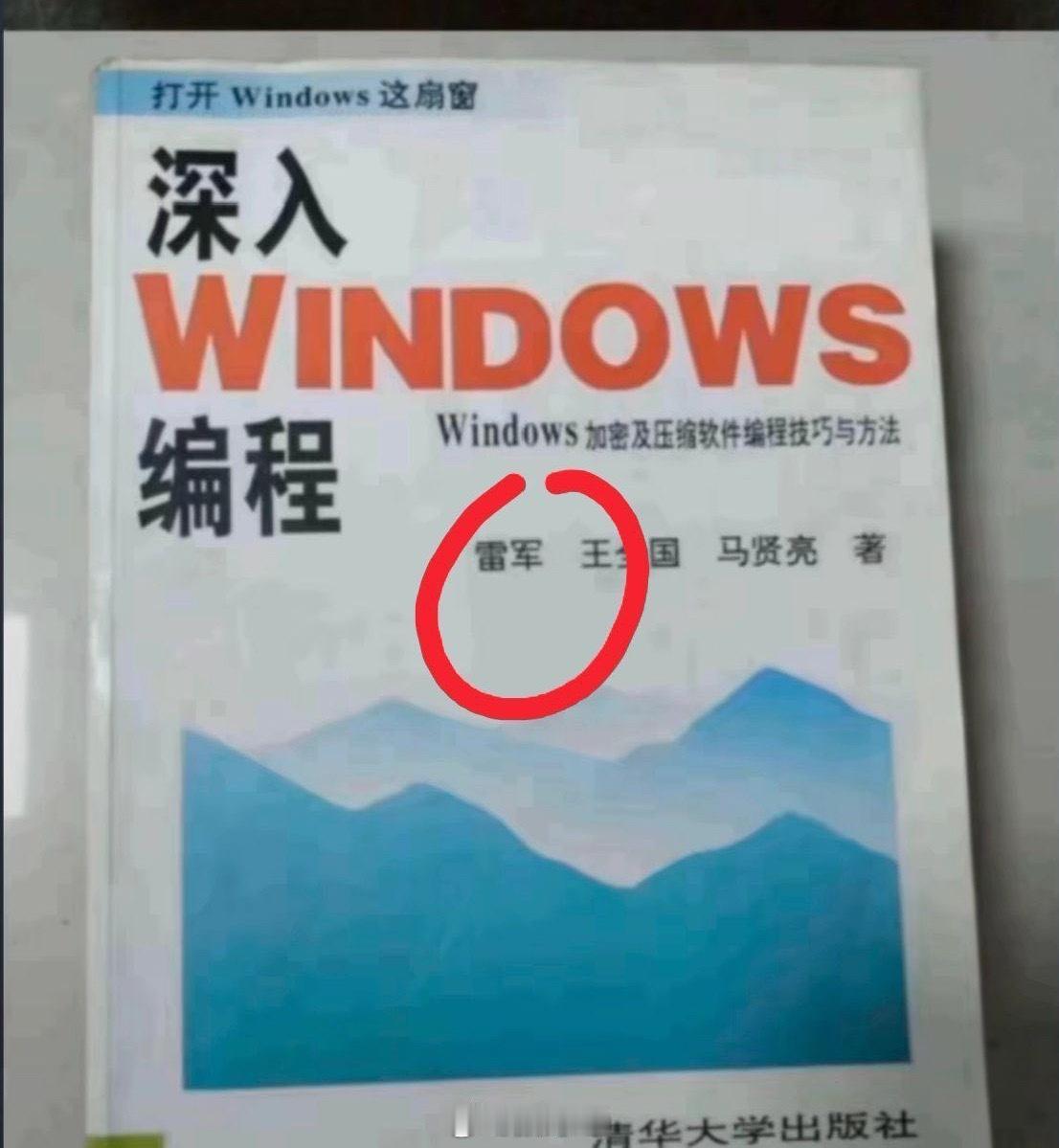 其他老板可能连编程都不会，但是雷总在大学帮人写编程就赚了一百万，还带队写第二代W