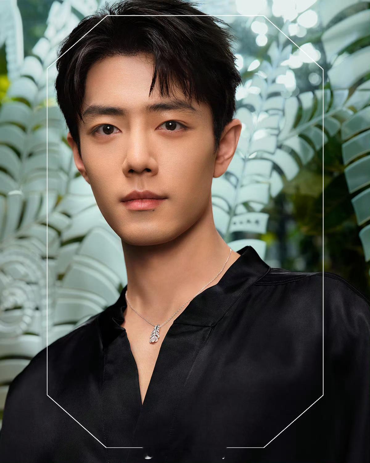 肖战宝诗龙新物料来了