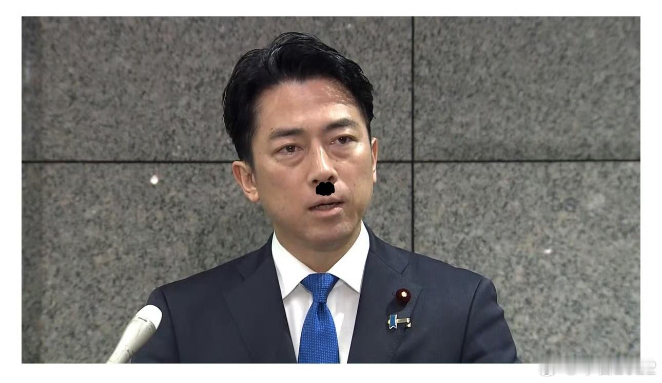 日本人嘲笑小泉进次郎它们就是那嘴脸简单地用黑笔画几下，犹如罪恶的小鬼子在世。毫无