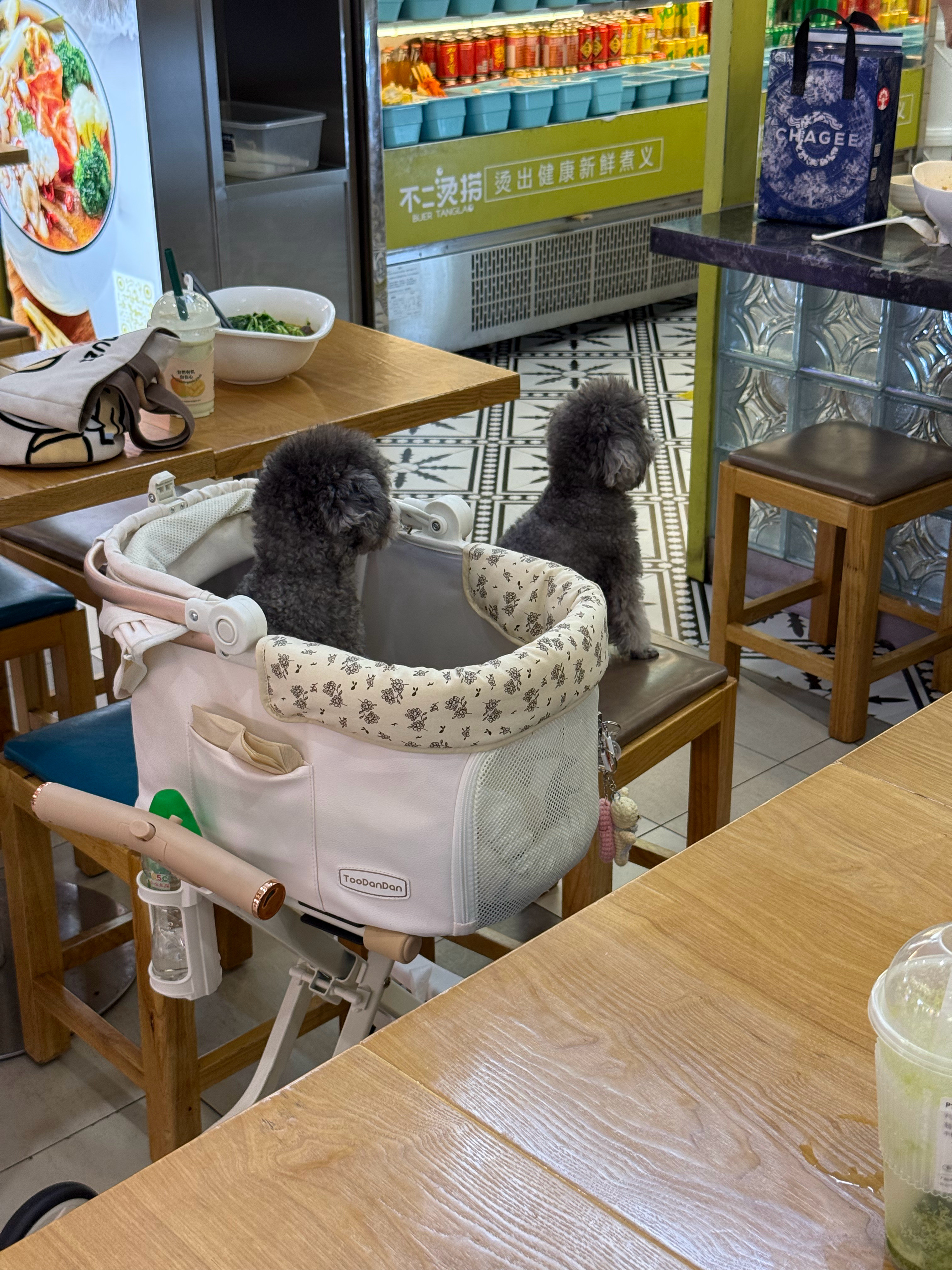 自愧不如[doge]​​​