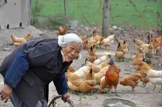 为什么我认为断子绝孙并不可怕；在生产力高度发达的今天，除了病痛给你带来的是真实