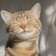 “这只猫太牛了！”内蒙古一牧民发现自家小猫在院子里晒太阳，刚想抱怨小猫懒，不料走