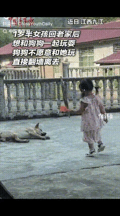 万万没想到一岁半娃竟能把狗子逼得主动跳墙避险，江西九江这一幕看着好笑，细品全是暖