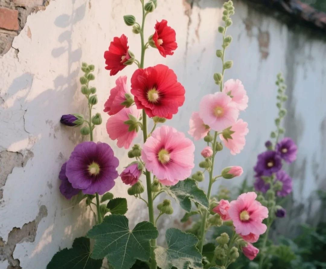 我闺蜜现在跟她前婆婆生活在一起，离婚4年，她还是喊前婆婆“妈”，前婆婆对她的称呼