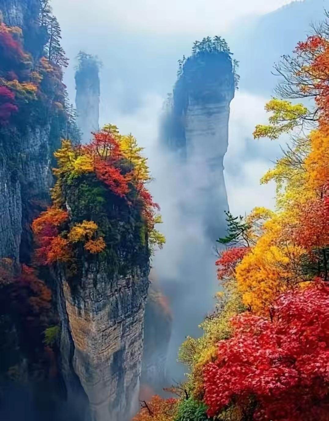 真正有智慧的父母，一生不纠结、不内耗、不焦虑，只用心做好这三件事。一是