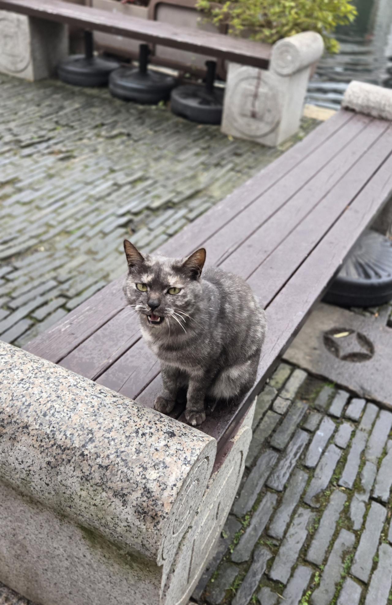 颤抖吧！油价将在下一轮微涨9毛！下一轮油价调整时间：2026年3月23日2