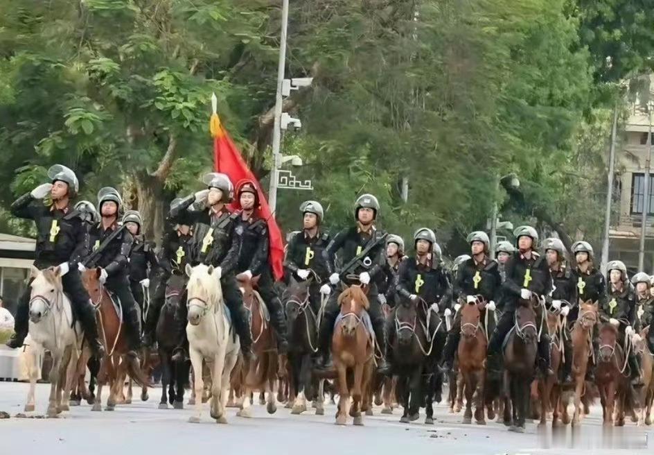 越南骑兵队伍，要是不说，我还以为是旋转木马[捂脸哭]​​​