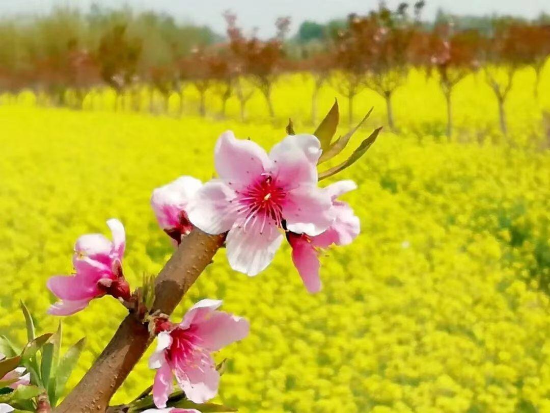 中国十五所最牛中学排行榜1. 中国人民大学附属中学（北京）：清北录取约170