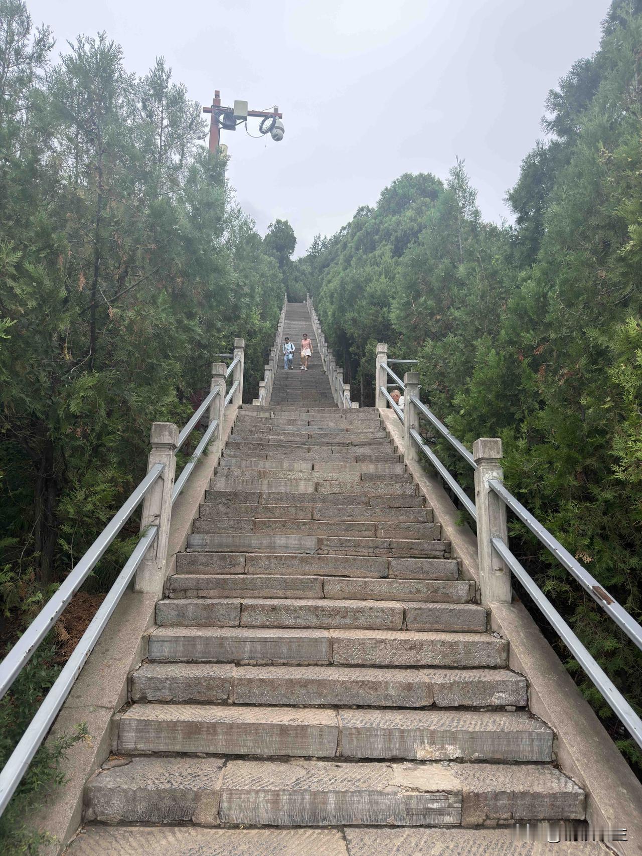 钢铁书生交易分享：交易的本质并非预测涨跌，而是一场关于人性的博弈。一个成