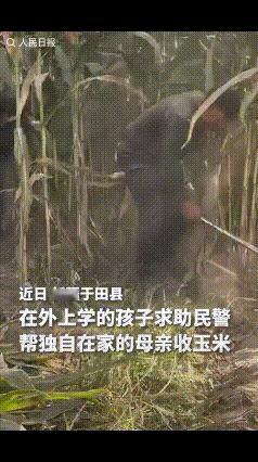火到人民日报了！一名学生在公安局视频号下求助，因为家里只有妈妈一个人，有3亩地，