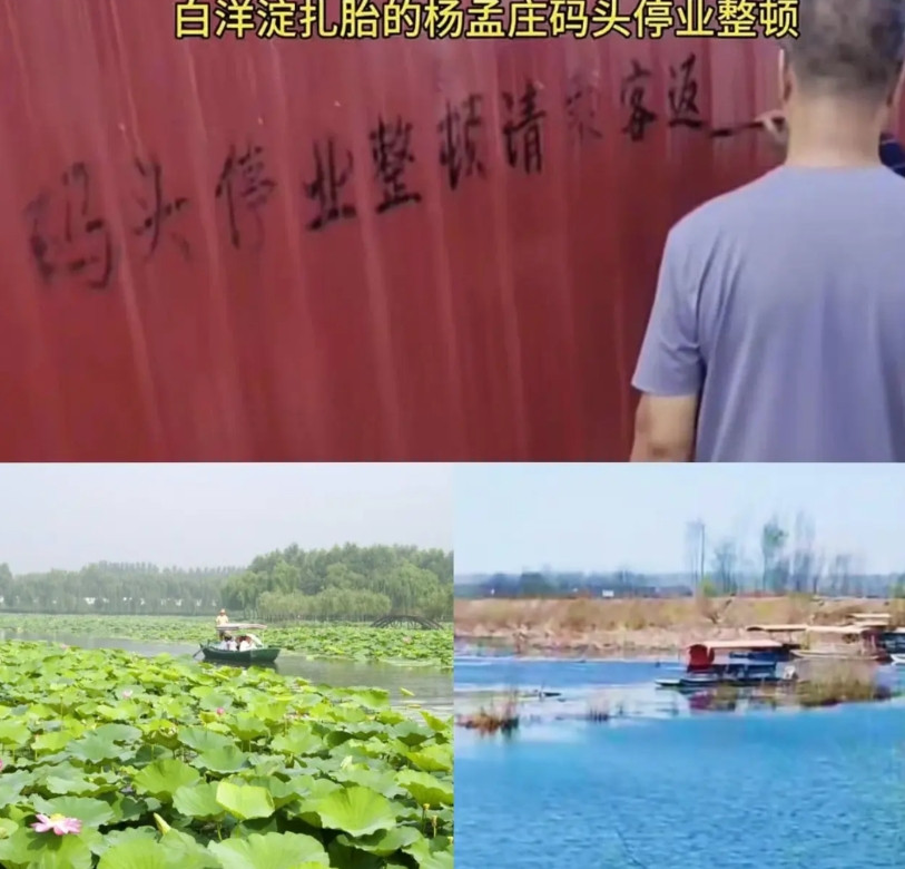 扎胎事件到今天第6天了，白洋淀杨孟庄码头还没恢复营业！这是要跟游客及网友们硬刚