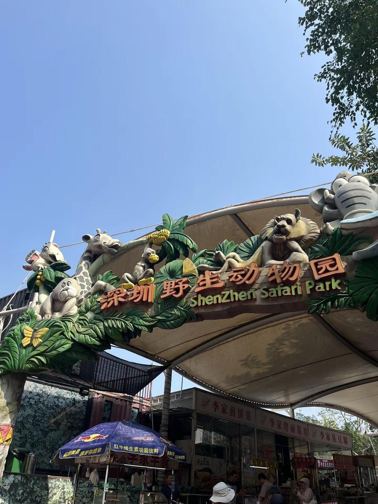 深圳野生动物园记录旅游足迹实景拍摄深圳周末好去处深圳周末遛娃好去处推荐深