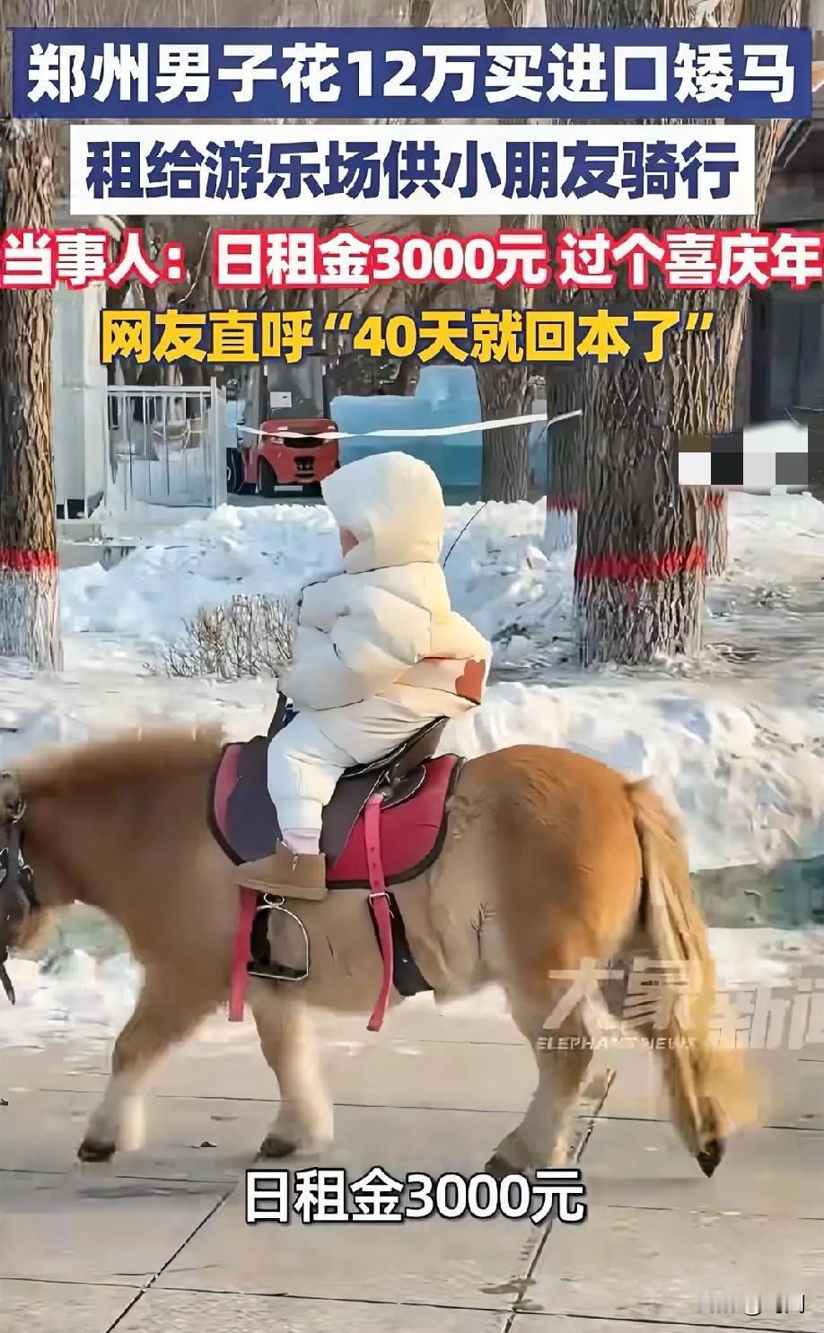 郑州男子12万买进口“小矮马”租给游乐场，日租3000元！网友：日租3000