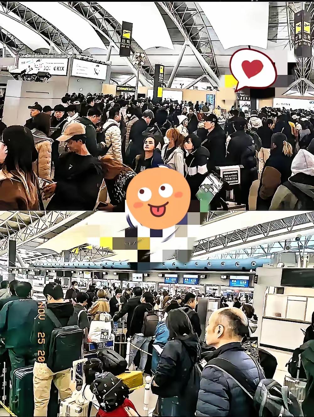 近期赴日旅游的旅客正面临现实困境。数据显示多地赴日航班大面积取消：天津往返大阪航