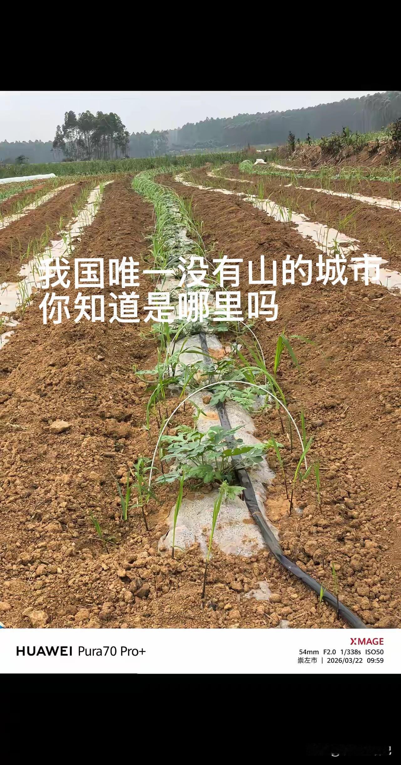 我国唯一没有山的城市，你知道是哪里吗？
