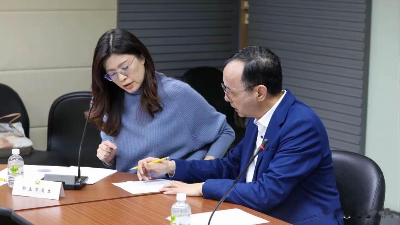 解放军进台海，岛内民意觉醒，朱立伦全面交权，给郑丽文下了任务11月底到12