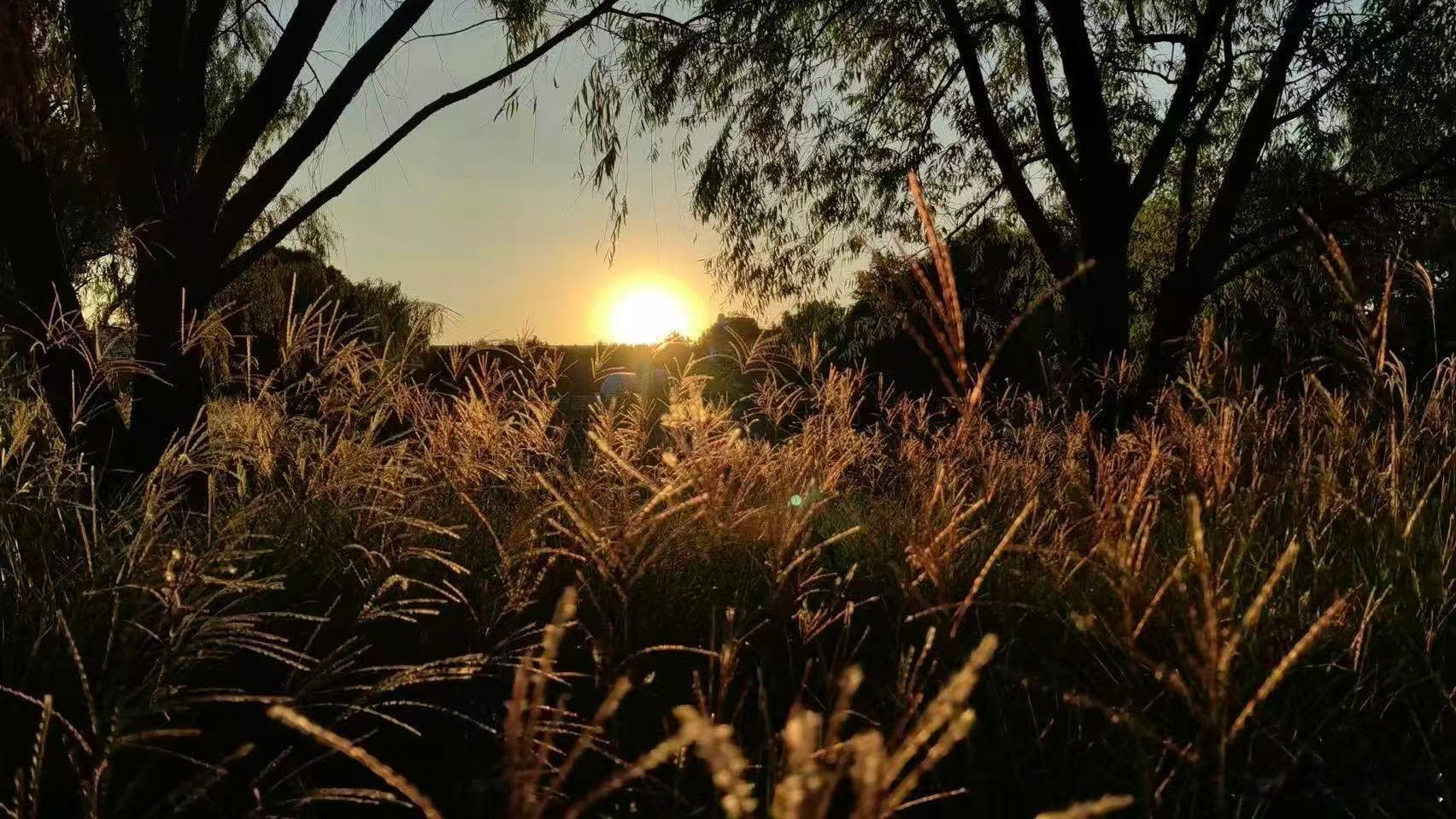 晒太阳参考影子原则天气渐凉，提倡大家晒太阳。不过，这也是个技术活，要学会精打细算
