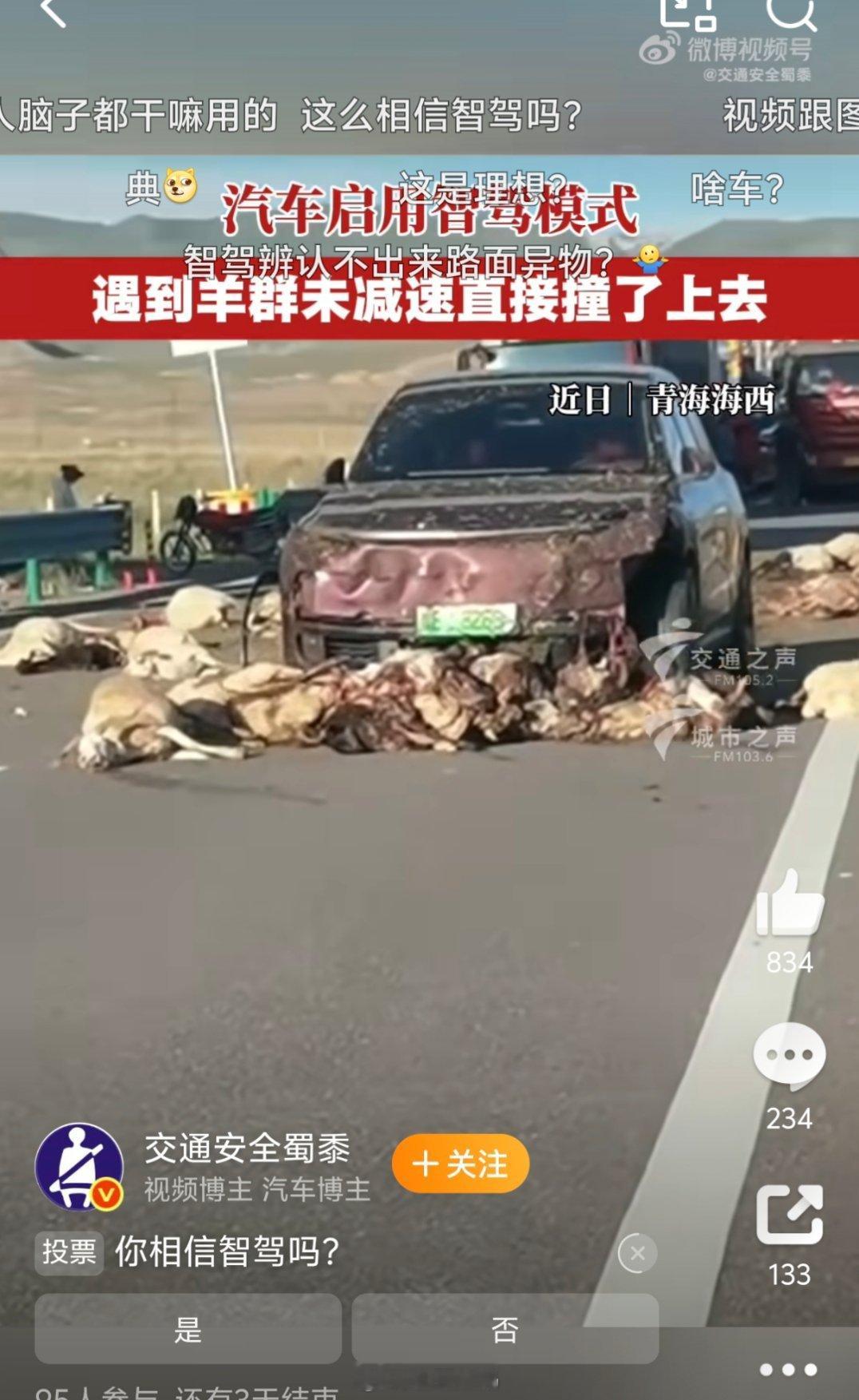 汽车启用智驾模式撞上羊群有的人智驾打开了，智商就关闭了？还是那句话，智驾很好，我