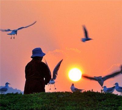很现实的一段话：“爷爷不努力，爸爸就会很辛苦；爸爸不努力，孩子就会很艰难；我们或