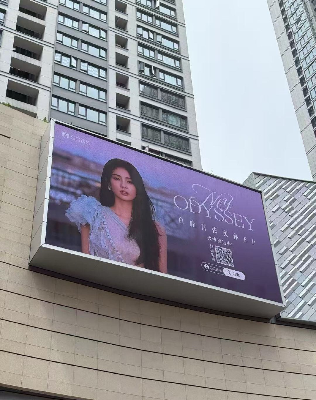白鹿哇！白鹿真的很棒～咱就是说已经迫不及待去线下打卡这个美鹿啦[努力