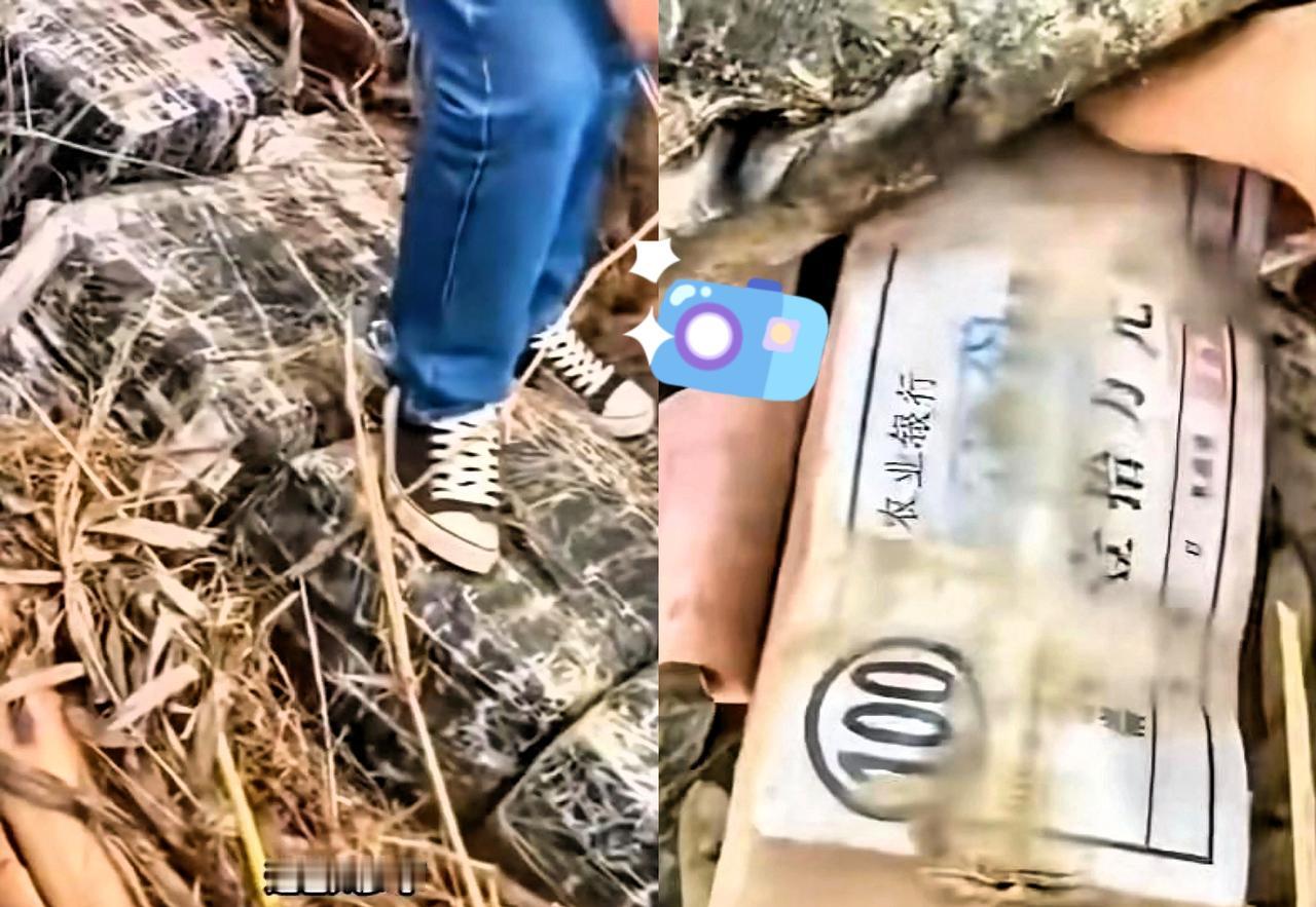 钓鱼老发现这泼天的富贵也不敢接啊！近日，一男子每天大清早就去占位，只为今天抛出