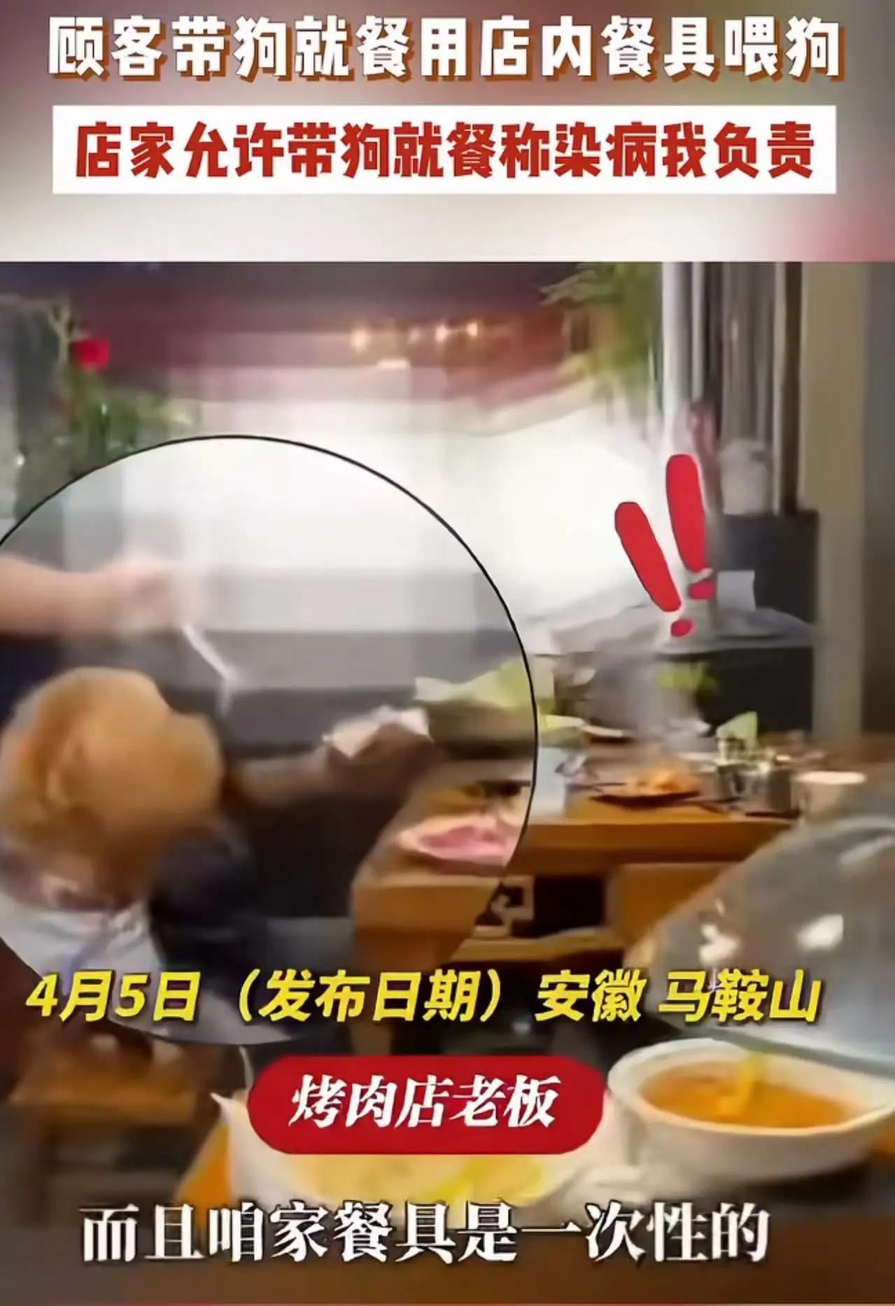 烤肉店允许人狗同筷喂食，老板放话“染病我负责”，网友怒了：这责任我担不起！