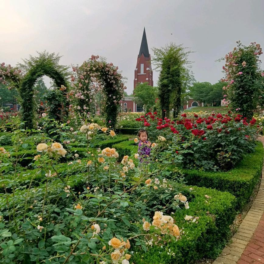 秦始皇：史上第一个“盖世皇帝”，你知道他有多“牛”吗？嘿，朋友们！今天咱们聊