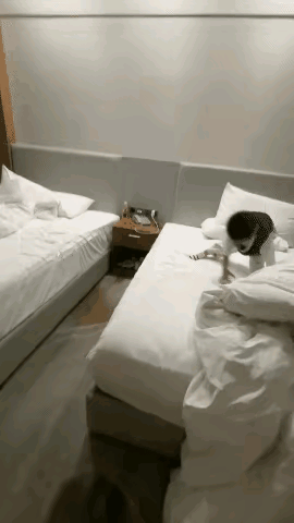 表现厉害，值得称赞[赞][赞]