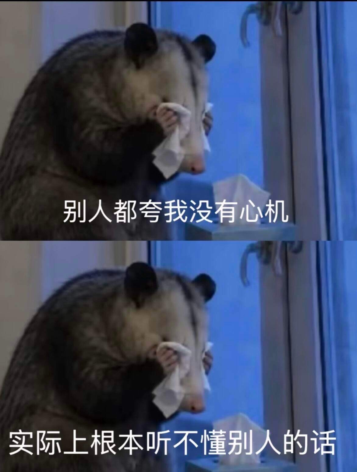 我的人生态度belike不想上班不想上学