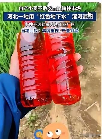 希望废掉特供食品。清明回家，听见有人辞掉月薪数万的工作，回家种地，买猪肉宁愿买高