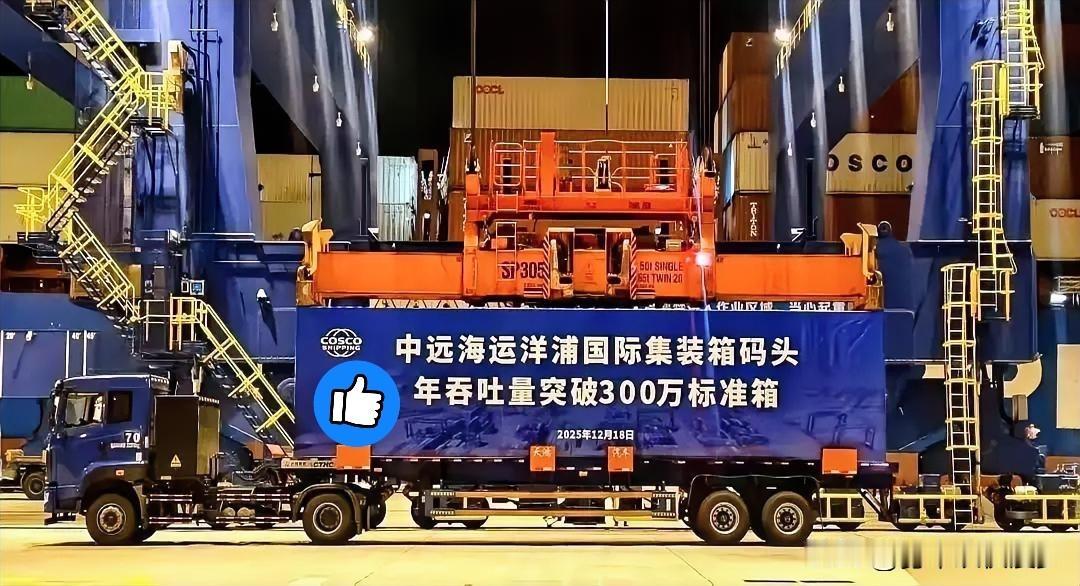 封关第一天，一个大新闻直接砸我脸上了。海南，洋浦港。吞吐量，突破300万标