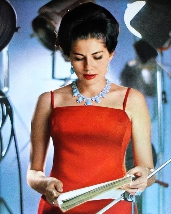 1960年，伊朗王后索拉娅因无法生育被废后，为了排解苦闷，她天天购物四处旅游散心