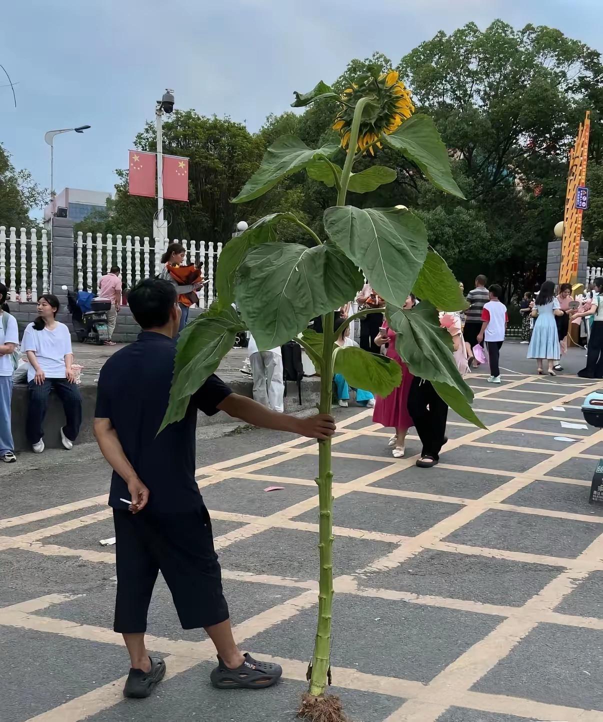 这家长用心了