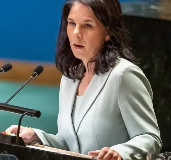 联大主席贝尔伯克称:世界不再同唱一首歌！1月21日，第80届联大主席贝尔伯克