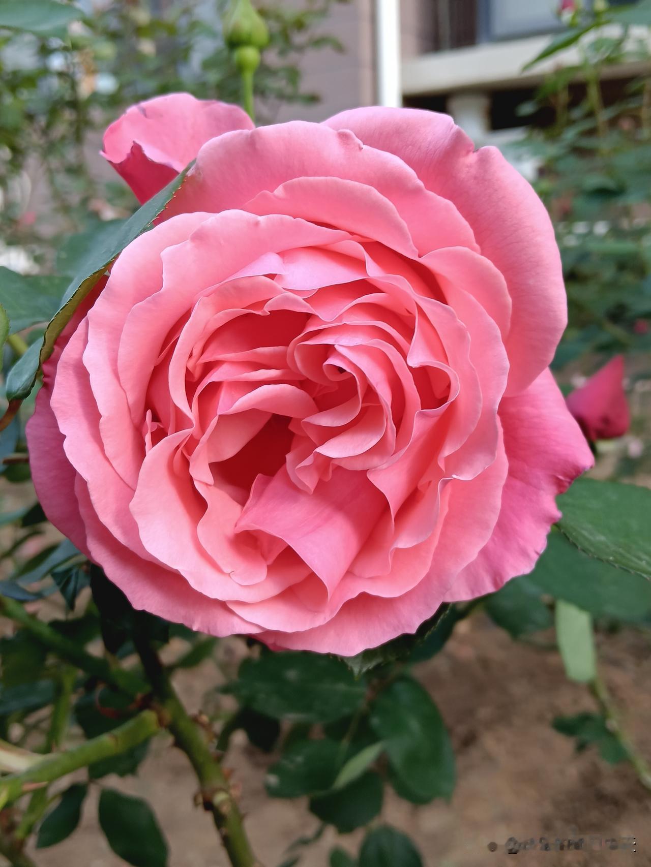 一定要告诫孩子，十个红线千万不能碰：1.不和同学去娱乐场所，包括同性和异性的同