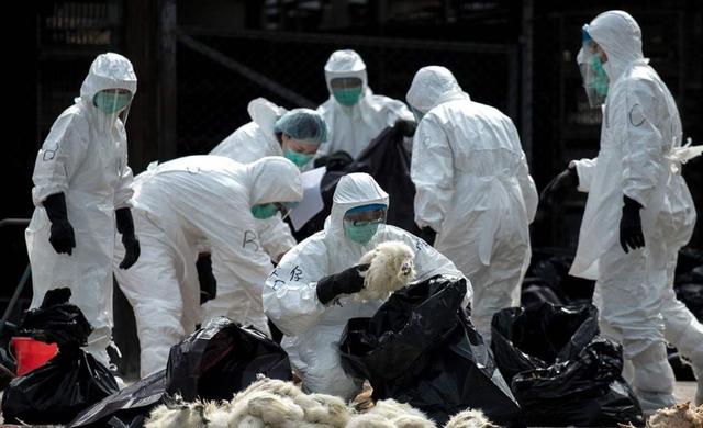多名医生研究发现：一针新冠疫苗都没打的人，真实现状揭秘！不少医护人员长期跟踪观察后发现，自疫情放开至