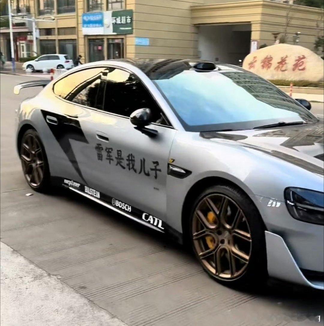 如果让雷总看到这个图片他是应该高兴呢？还是高兴呢