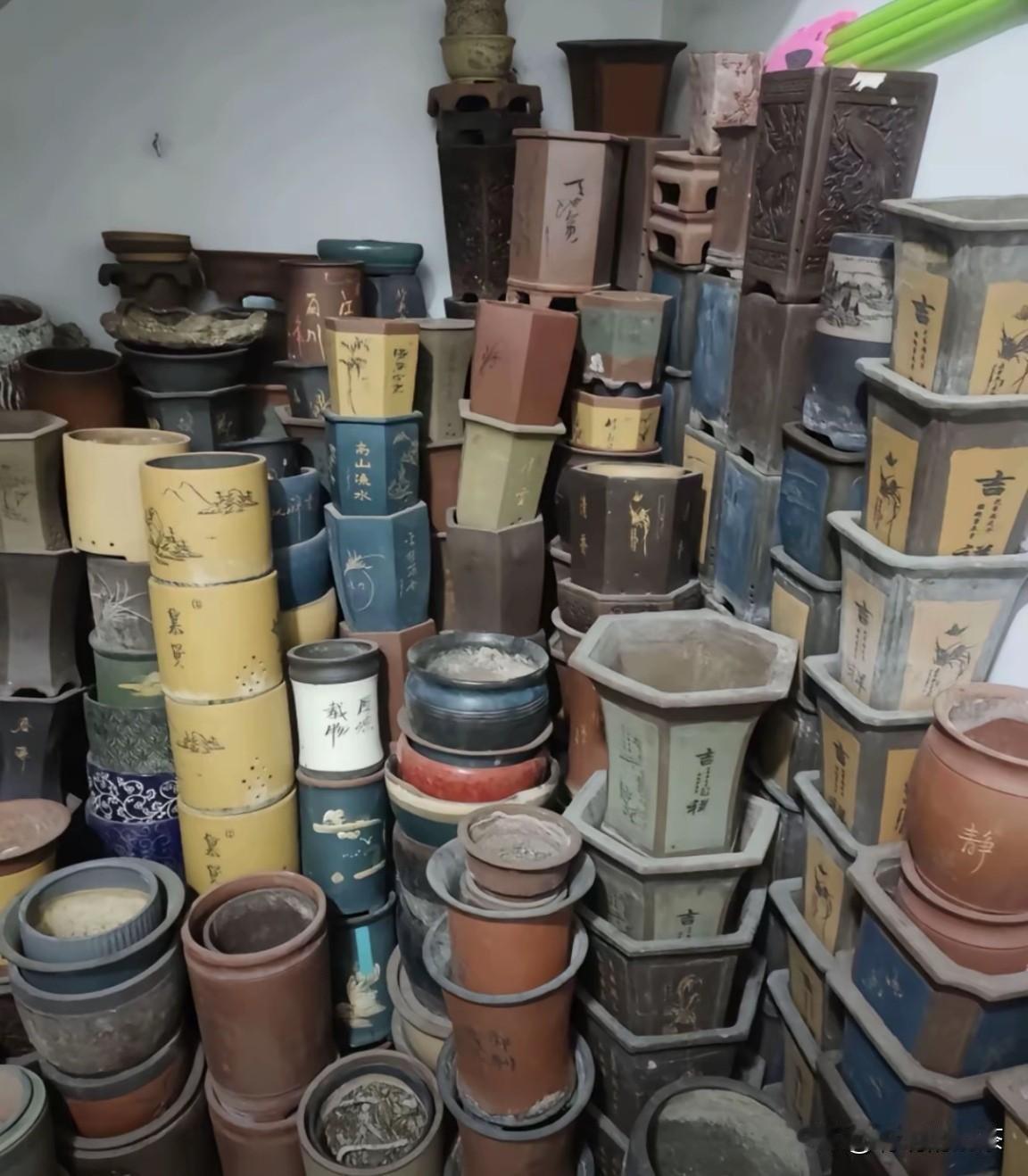 请礼貌的夸夸我！这只是冰山一角，看到这些就能联想到我养花的水平有多高……